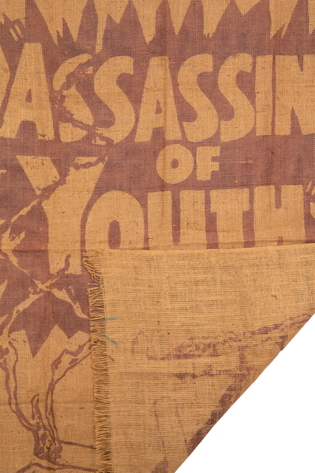 ASSASSIN OF YOUTH Vintage Wall Hanging